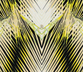 Обои Roberto Cavalli Home 6 RC17002