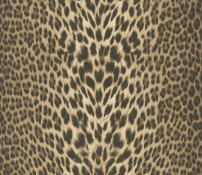 Обои Roberto Cavalli Home 7 RC18029